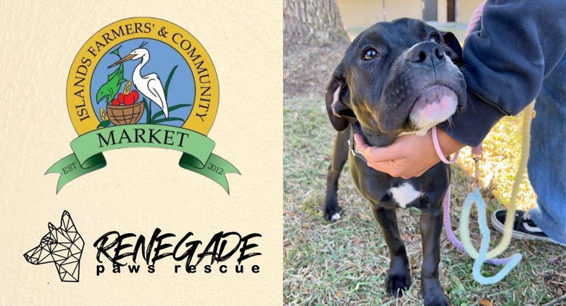 Renegade Paws Rescue at Islands Farmers Market