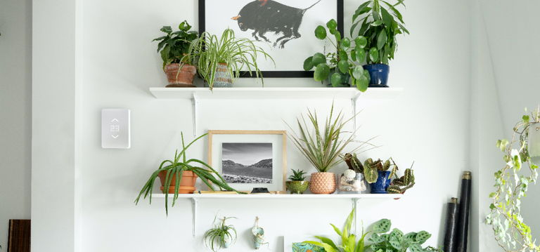 Mysa Smart Thermostat next to floating shelves holding plants, framed art, books, and other keepsakes