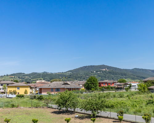 Food experiences Rivanazzano: From the Garden to the Table at My Home in Oltrepò Pavese