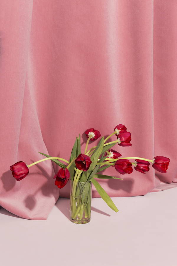 Vaso com flores murchas na frente de uma cortina