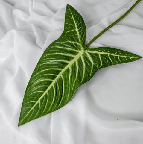 Xanthosoma Leaf (12 Pack)- Realistic Artificial Flowers and Greenery - Image 5