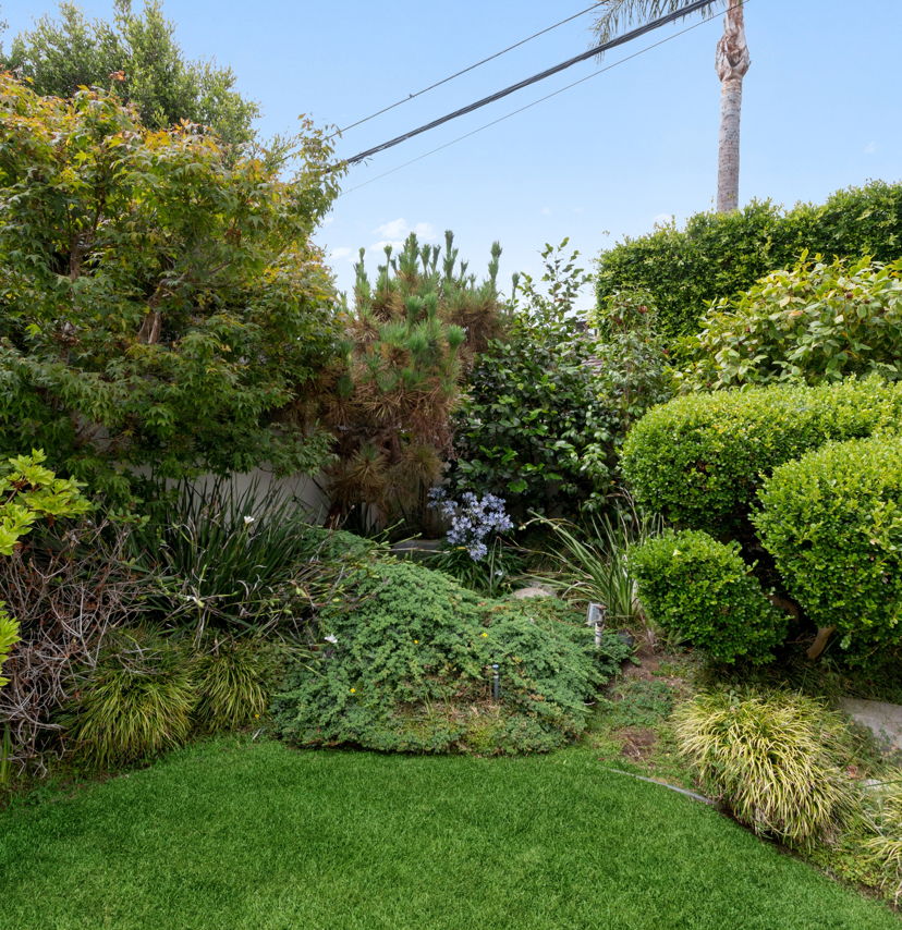 Slideshow image