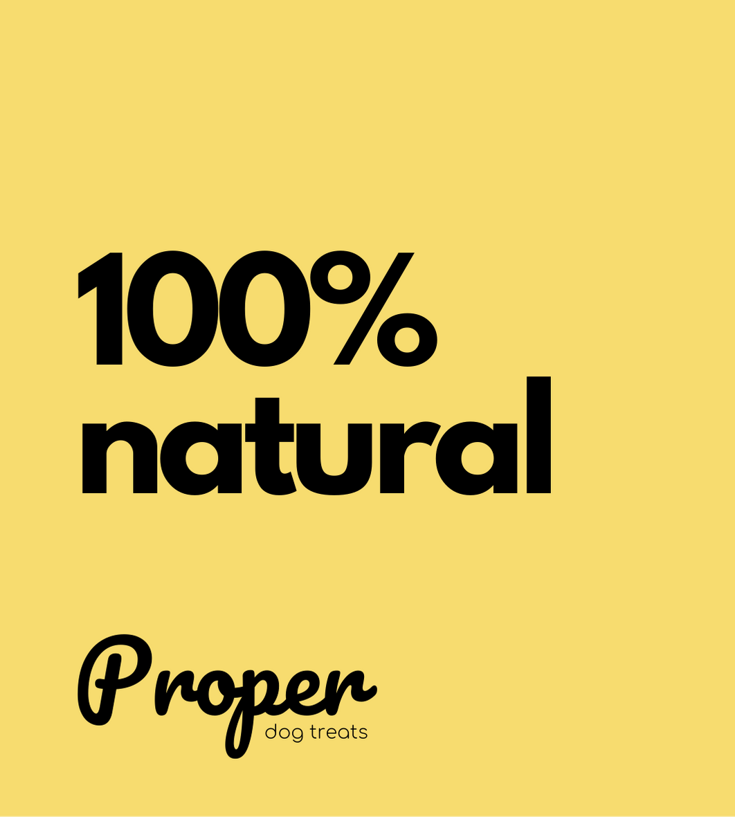 Natural Dog Treats & Chews | Proper Dog Treats
