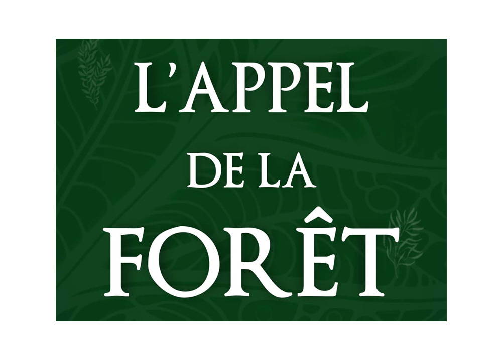 LENOVO , logo, protège les forêts tropicales à Madagascar ForestCalling Action