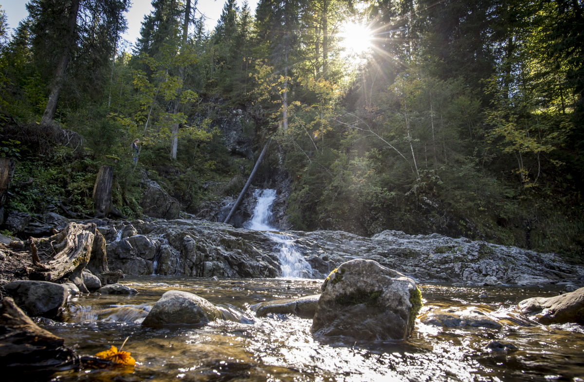 The Schwarzwasserbach in the Kleinwalsertal