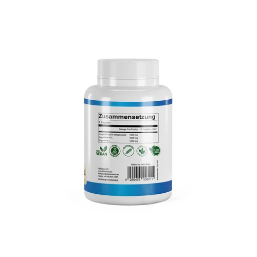 AROL (Arginine - Ornithine - Lysine) 120 gélules