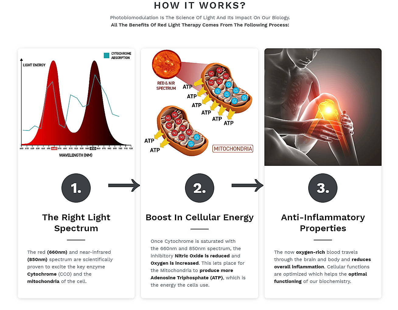 Why Red Light Therapy is One of the Best Healing Tools - Shop