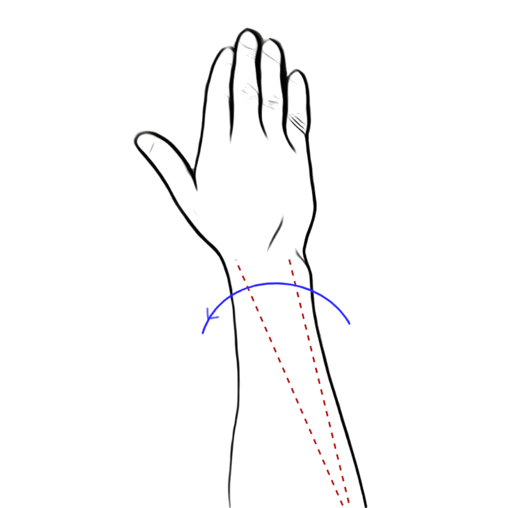 forearm pronation