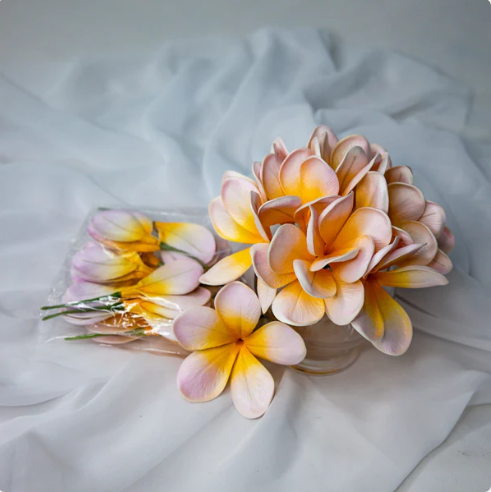 Pale Orchid Frangipani Flowerhead (6 Pack)- Realistic Artificial Flowers - Image 4