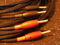 8 AWG Speaker Cables Reference grade  SILVER/TEFLON 8 F... 6
