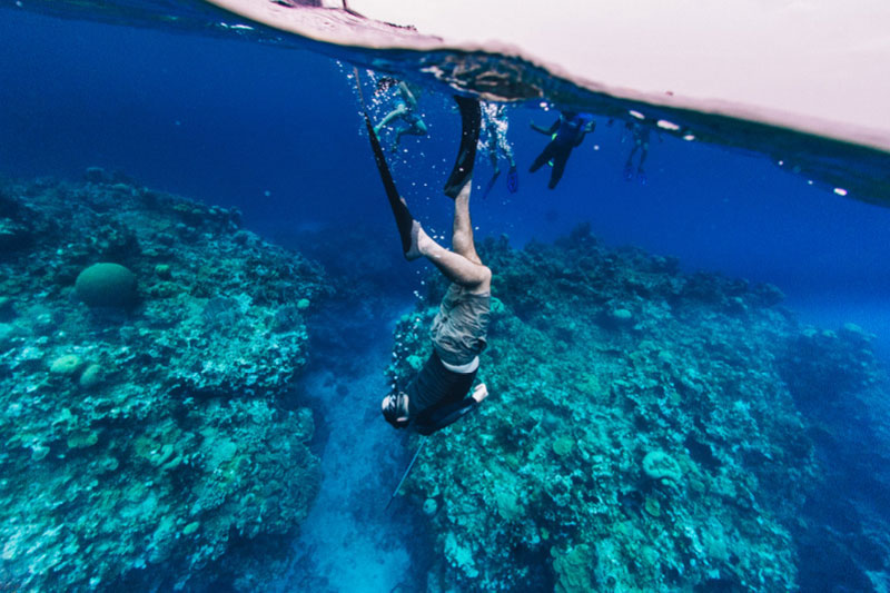 Oracabessa Fish Sanctuary