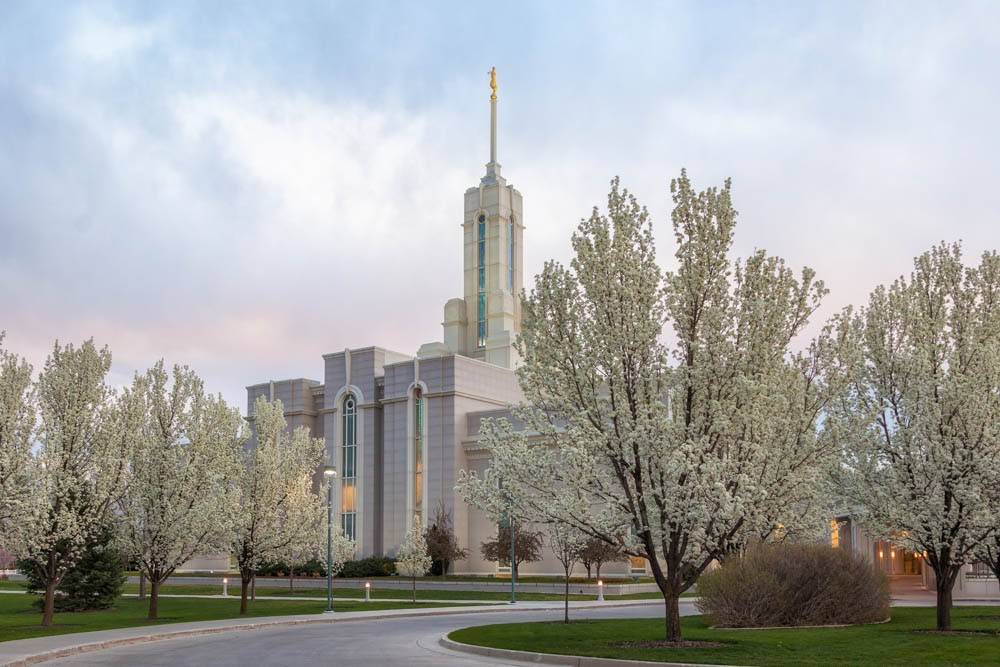 LDS art photo of the Mt Timpanogos temple, surrounded by spring trees. 