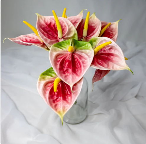 Pink/Green Small Anthurium - Realistic Artificial Flowers (Pack of 12 Stems)