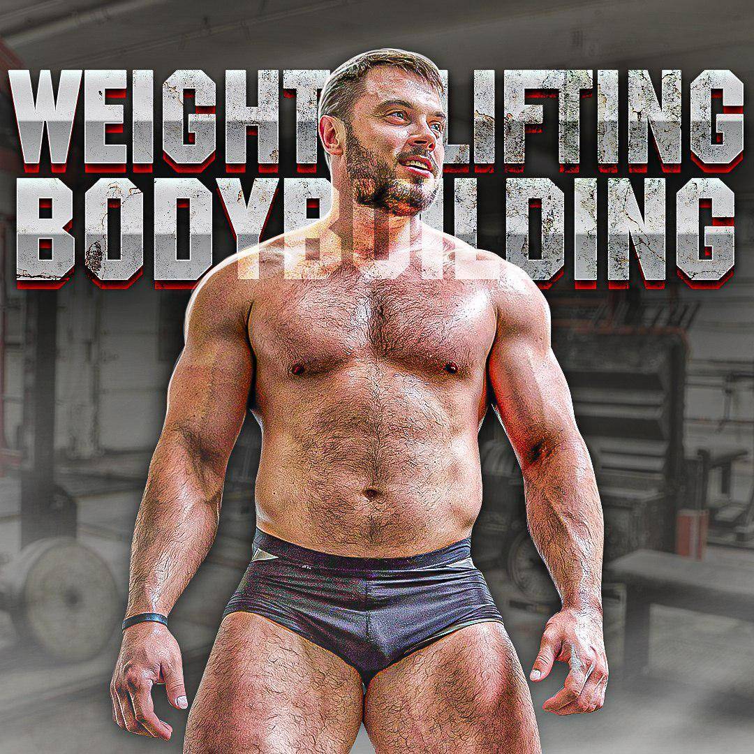  Weightlifting Bodybuilding Training Program Torokhtiy Olympic