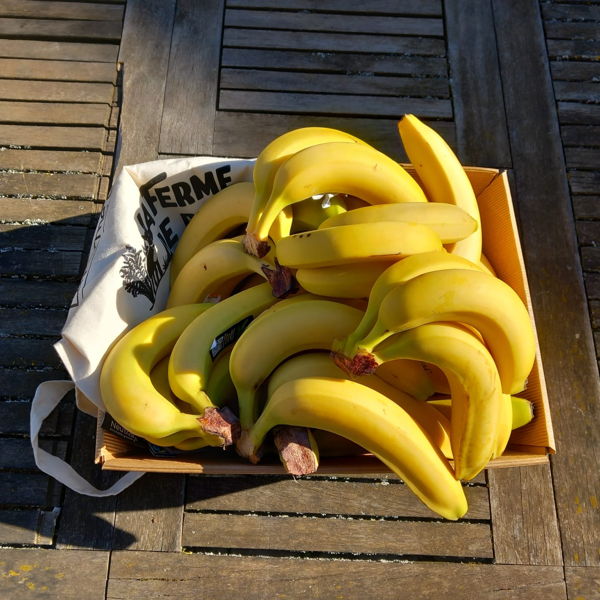 carton-de-bananes-bio-5kg