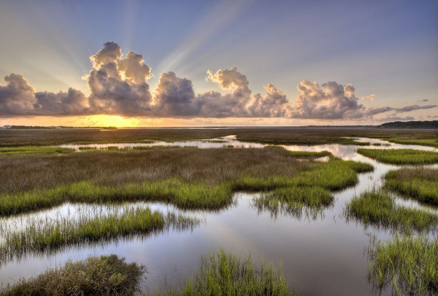 Timucuan Ecological and Historic Preserve