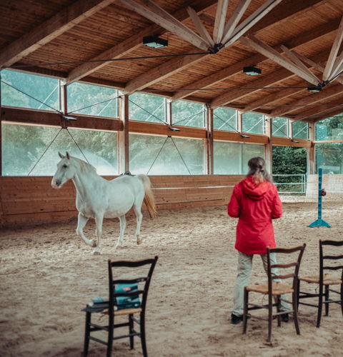 Teamprogramme & Teamevents mit Pferden in St. Gerold