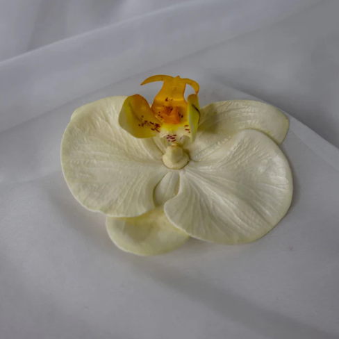 White and Yellow Phalaenopsis Flowerhead ( 6 Pack ) - Realistic Artficial Flowers - Image 2