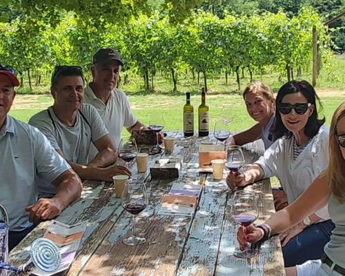 Food & Wine Tours Montepulciano: Wine tasting in the vineyard