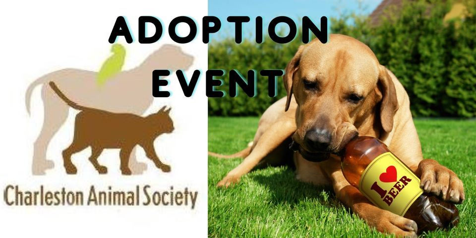 Adopt A Friend w/ Charleston Animal Society promotional image