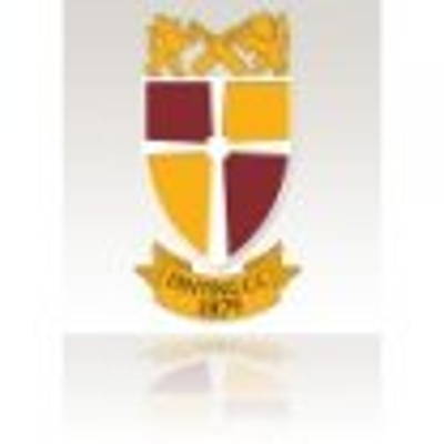 Dinting Cricket Club Cricket Club Logo