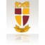 Dinting Cricket Club logo
