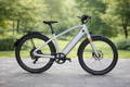 fat bike e-bike