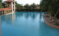 The Biltmore's pool, said to be the largest in the continental United States.