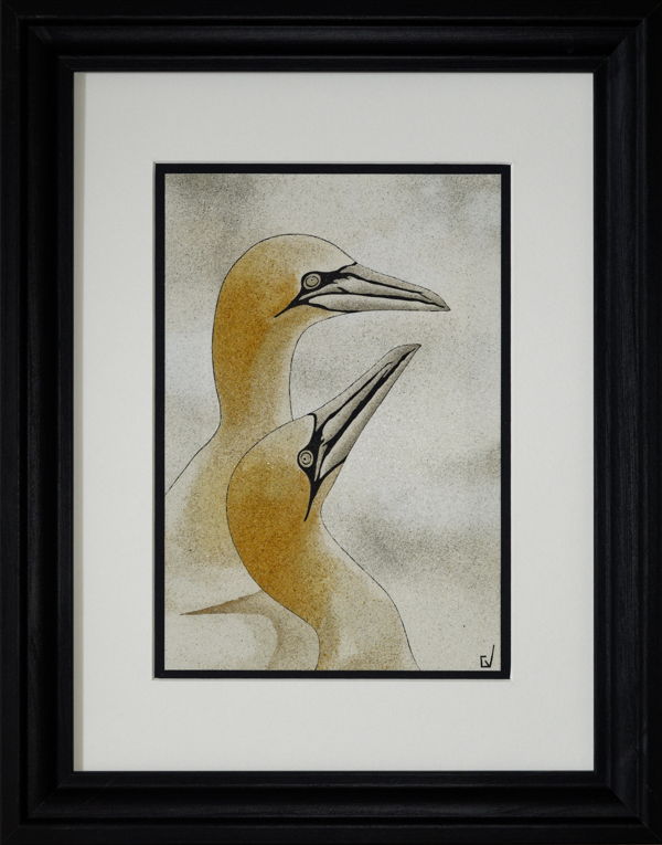 Gannet