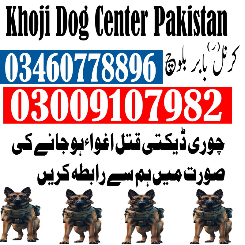 https://ucarecdn.com/6c696bf9-0457-469c-a11d-6492849b4a2e/ cover