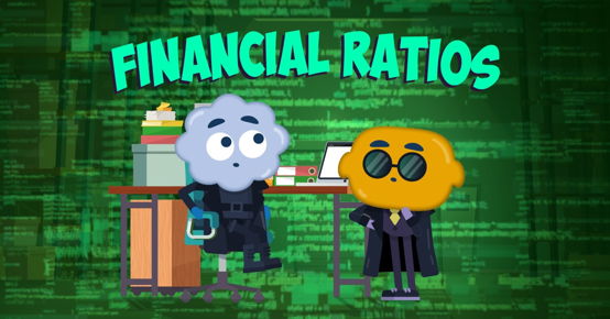 Financial Ratios image