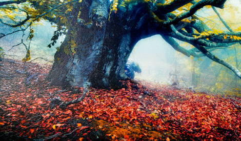 Metal print with slight texture