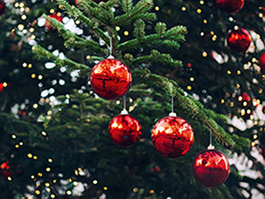  Hamburg
- Rote Kugeln hängen am Tannenbaum