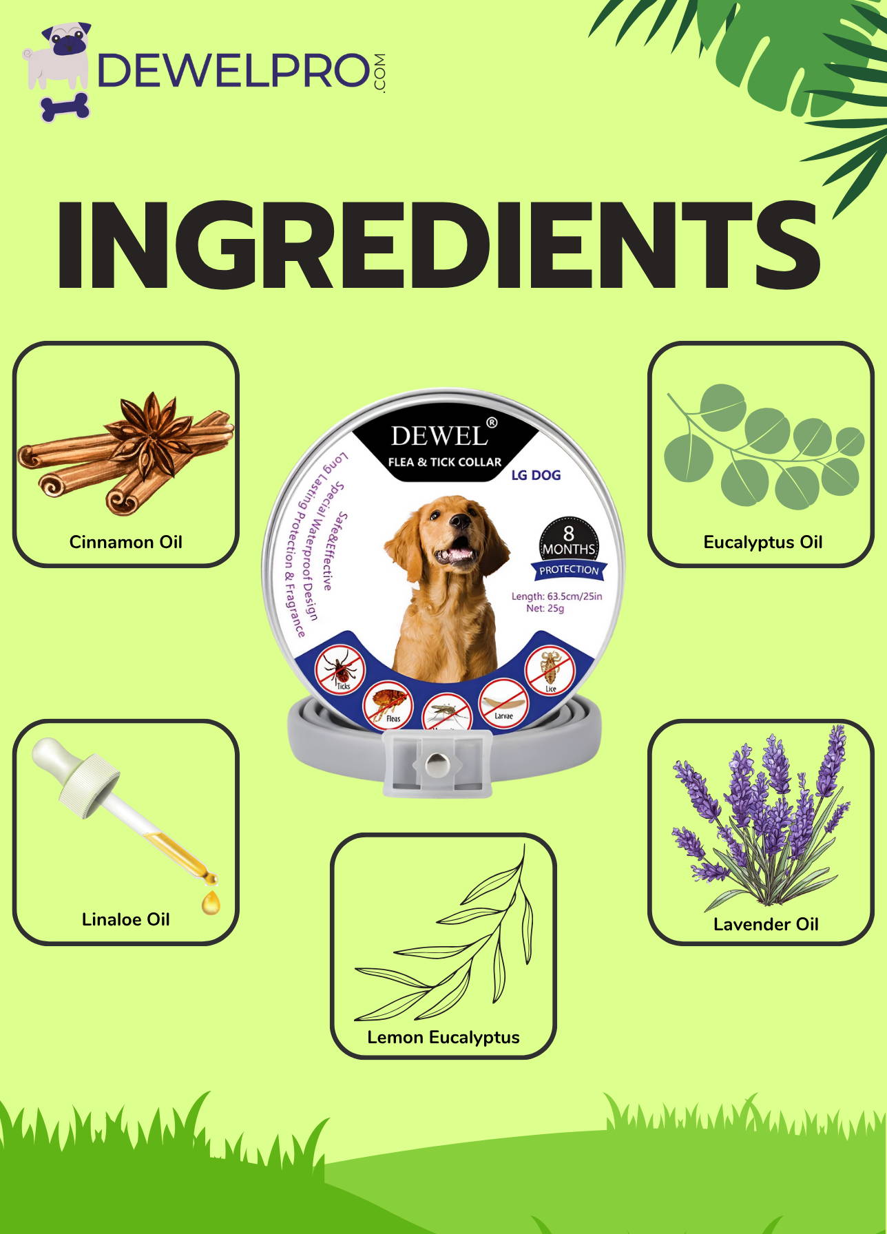 Plant Based Ingredients — DEWEL Flea Collar