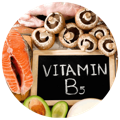 Foods containing Vitamin B5, a major ingredient of the best multivitamin for kids singapore