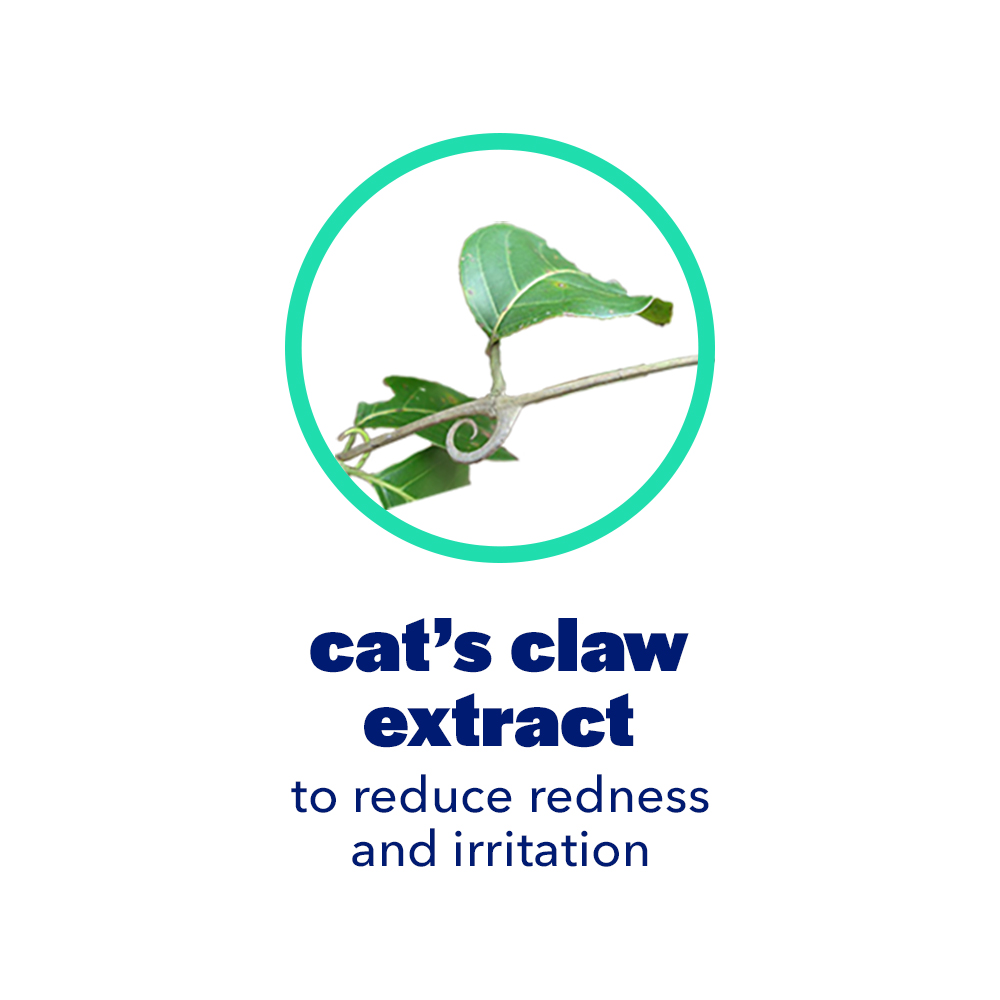 cat's claw