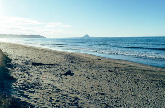 The beach near Magnus's home in New Zealand