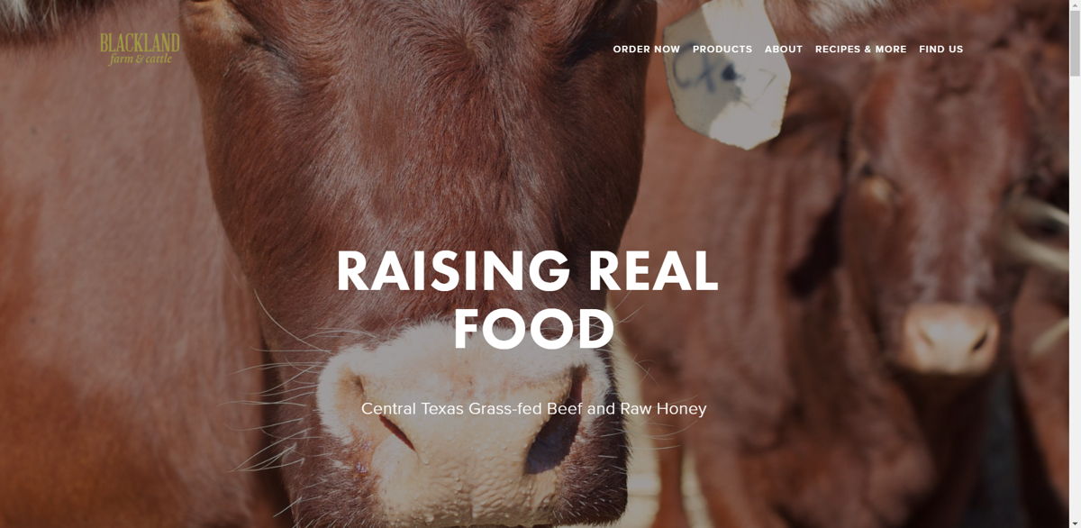 Screenshot of Blackland Farm and Cattle, from the farm websites collection.