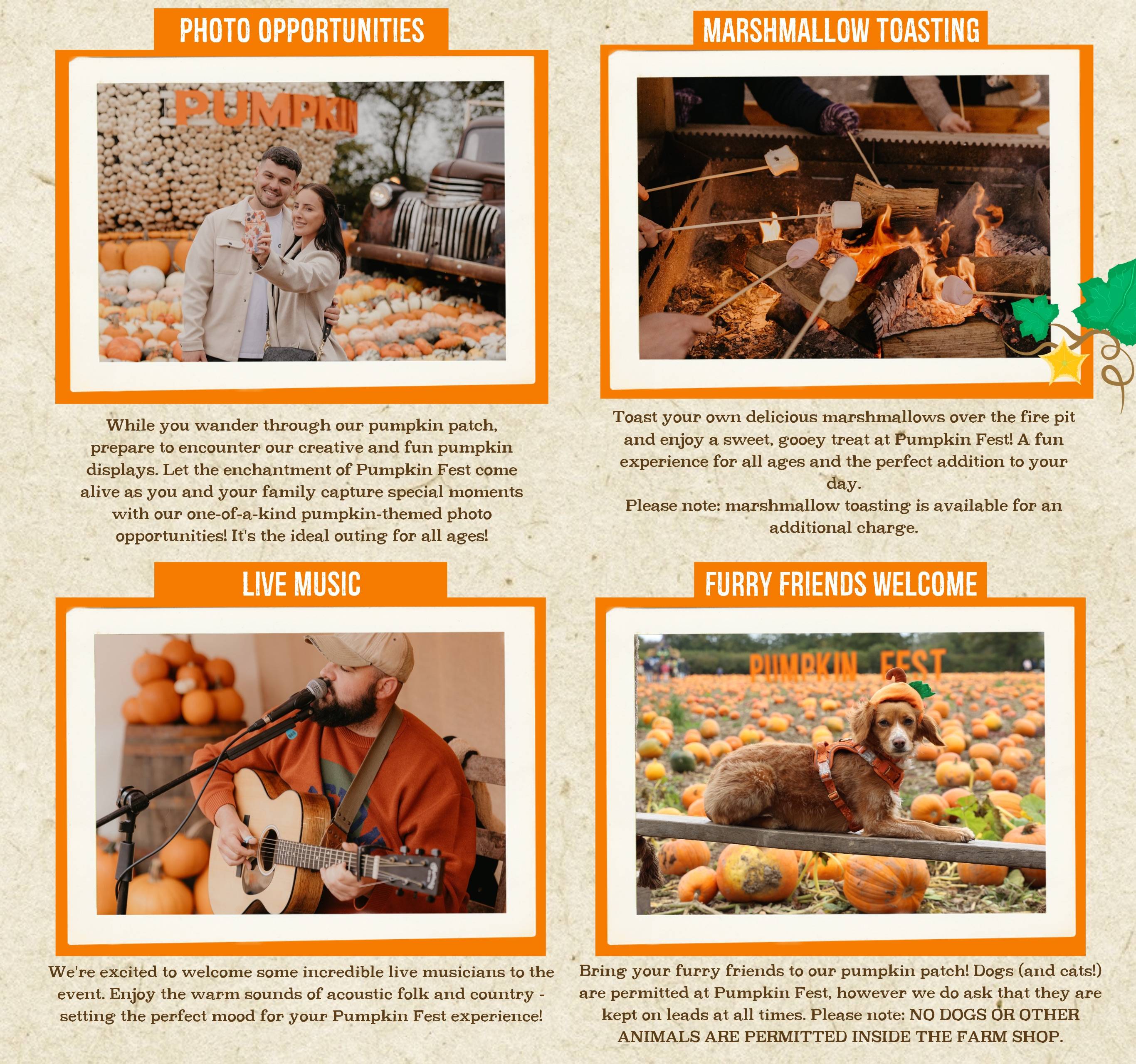 Discover the biggest and best pumpkin festival in Devon & Cornwall, and South West! Pumpkin Fest at Strawberry Fields is the ultimate family day out with a huge pumpkin patch, pumpkin picking, maize maze, barrel train rides, photo spots, tasty autumn treats & fun for all ages. Book now!