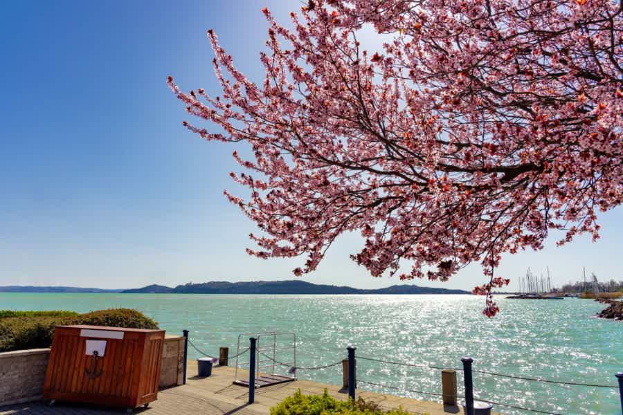 Private All Day Lake Balaton Tour from Budapest with lunch - photo 3