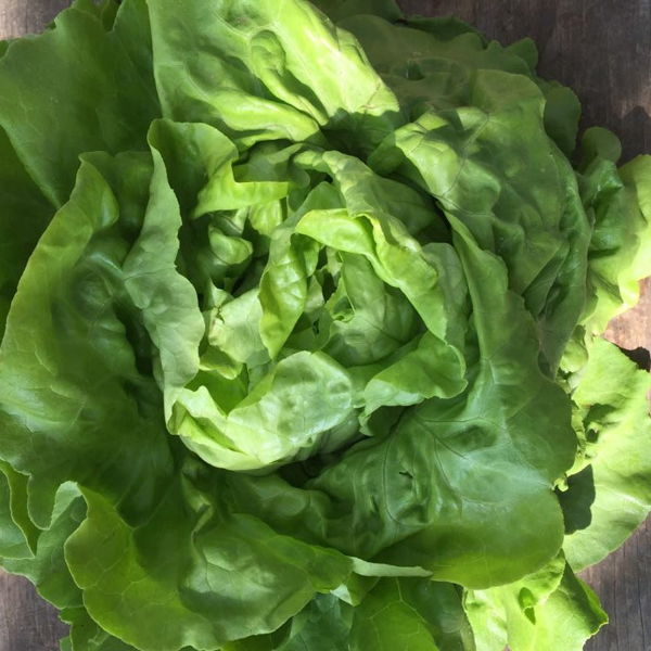 salade-cabus-pommee