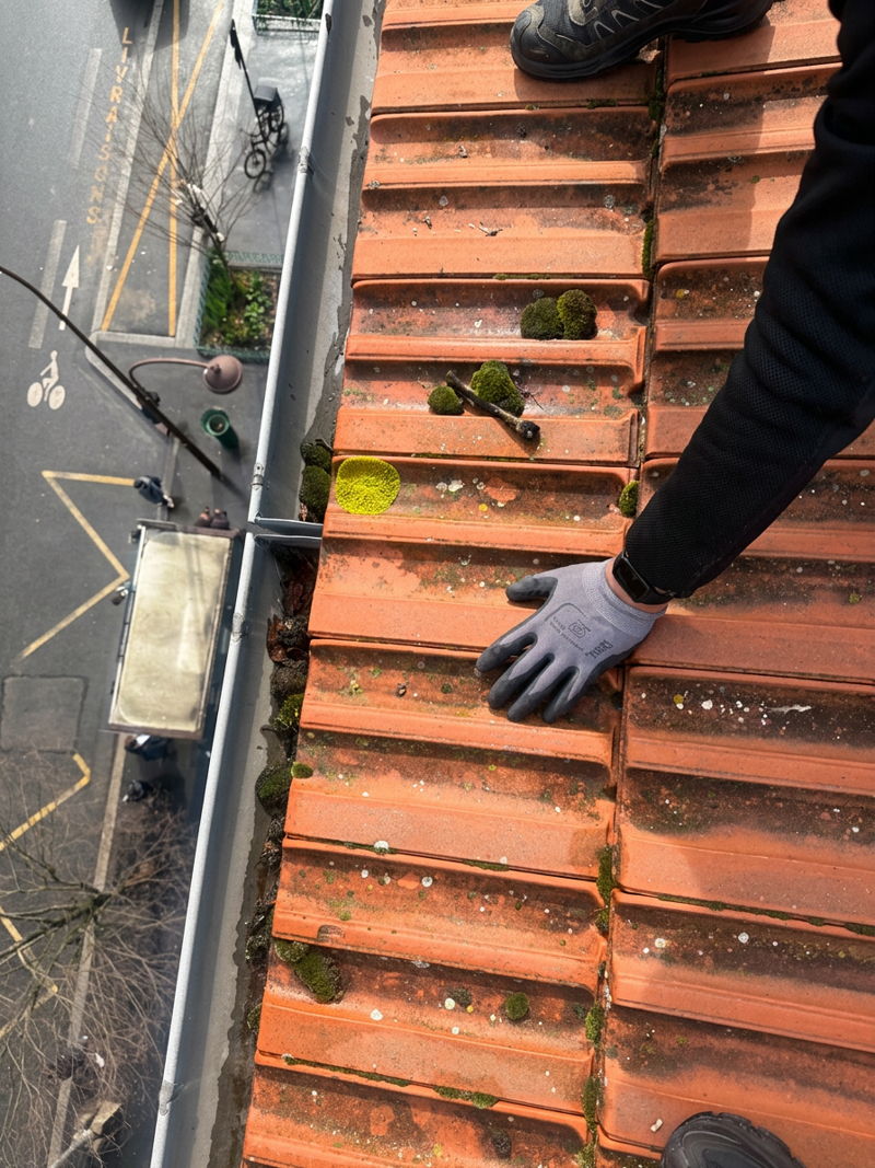 Nettoyage de gouttières à Neuilly-sur-Seine : un chantier essentiel à neuillysurseine