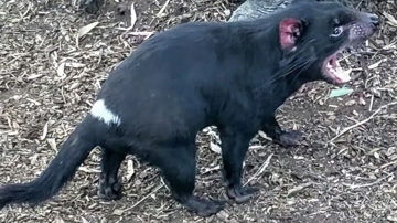 Main Content Image