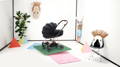 Cybex Platinum campaign image showcasing three luxury baby strollers (Mios, Priam, and Coya) in a modern minimalist room, with black and rose gold finishes, styled on colorful platforms alongside decorative wall art and the text “The New Luxury of Travel.”