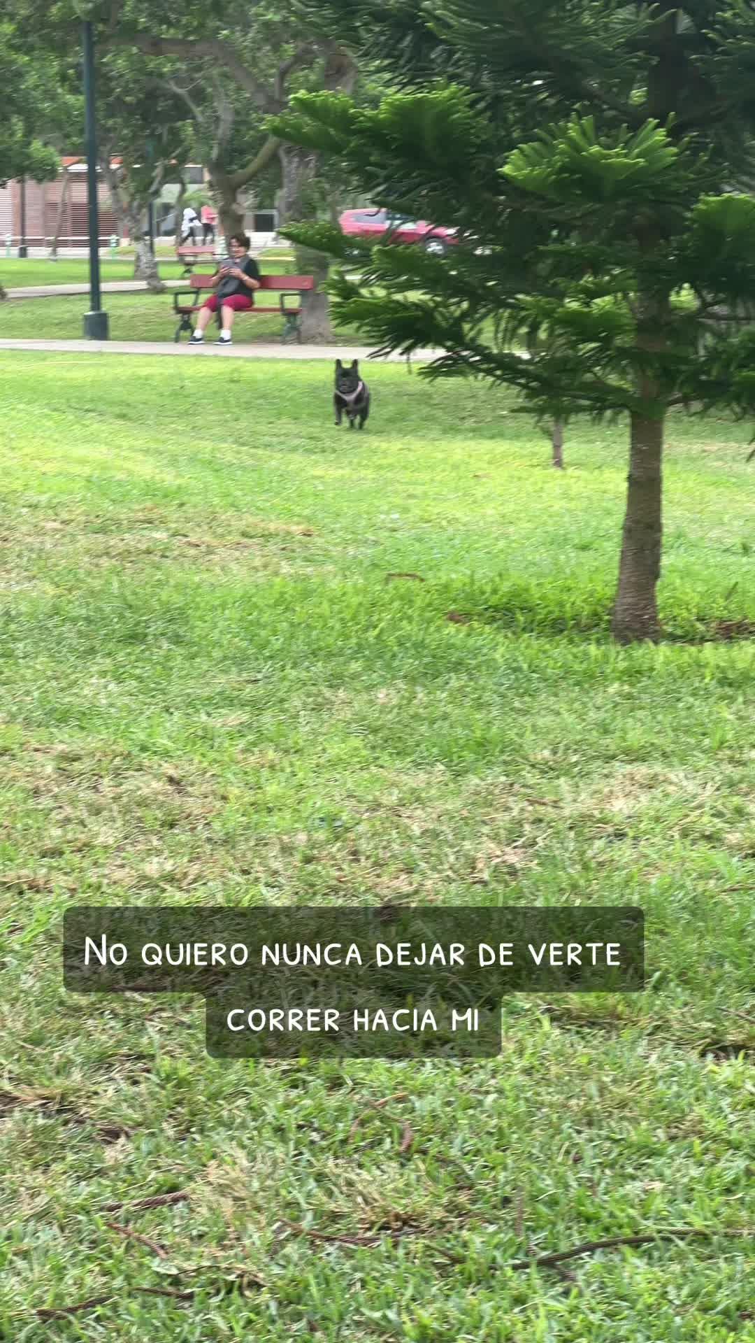 Main Content Image