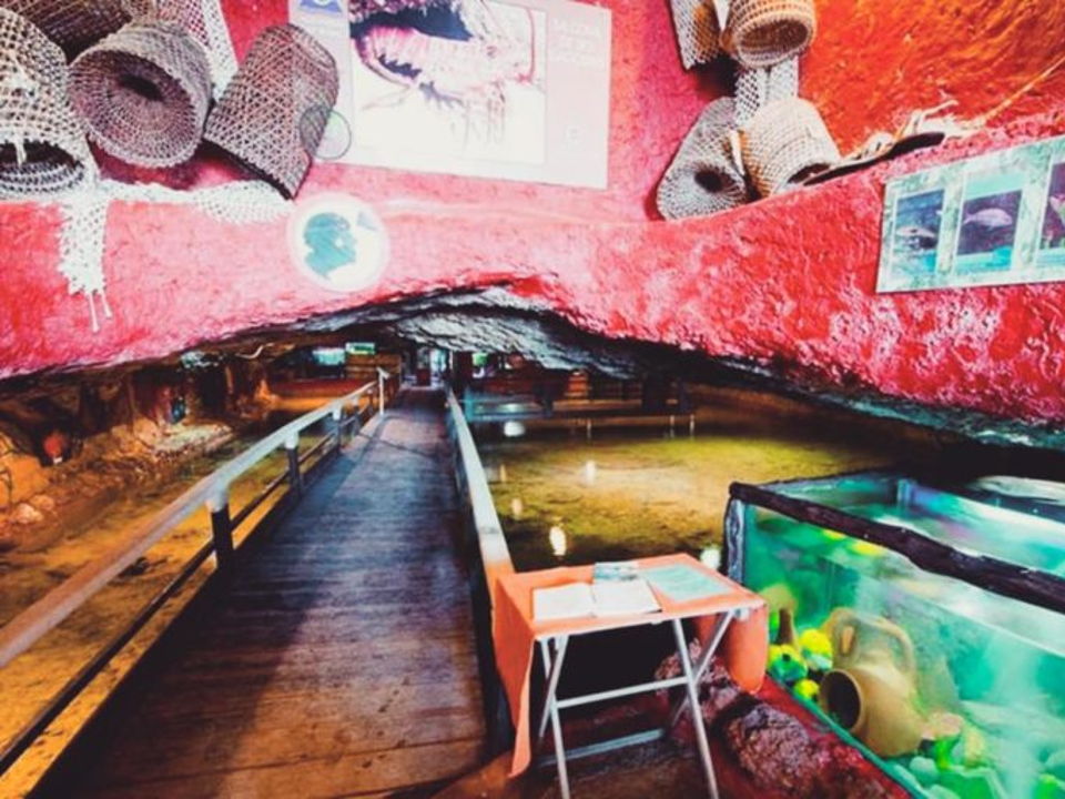 acuario Ibiza