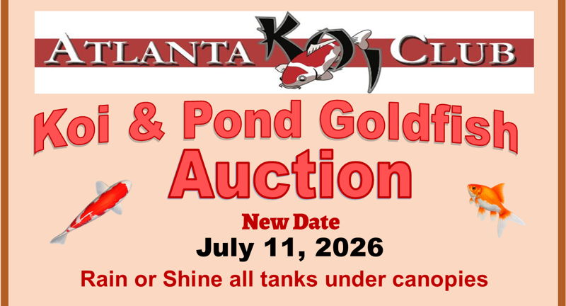 Atlanta Koi and Pond Goldfish Auction 2026