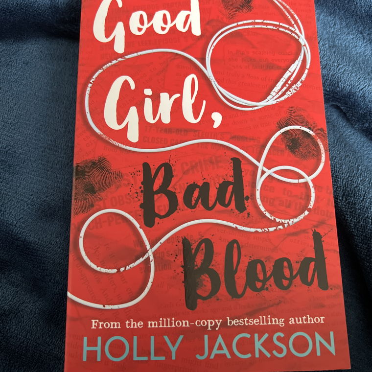 good girl bad blood holly jackson buch