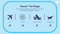 Infographic showing potential uses of Xanax for dogs