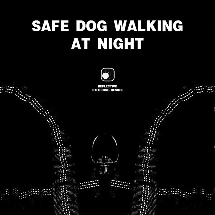 3-in-1 Tangle-Free Dog Leash for 1-3 Dogs - Heavy Duty Bungee Coupler with Reflective Stitching & Padded Handle - Image 12